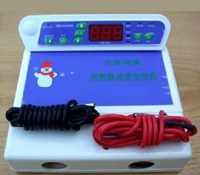 Controller & Thermometer 3